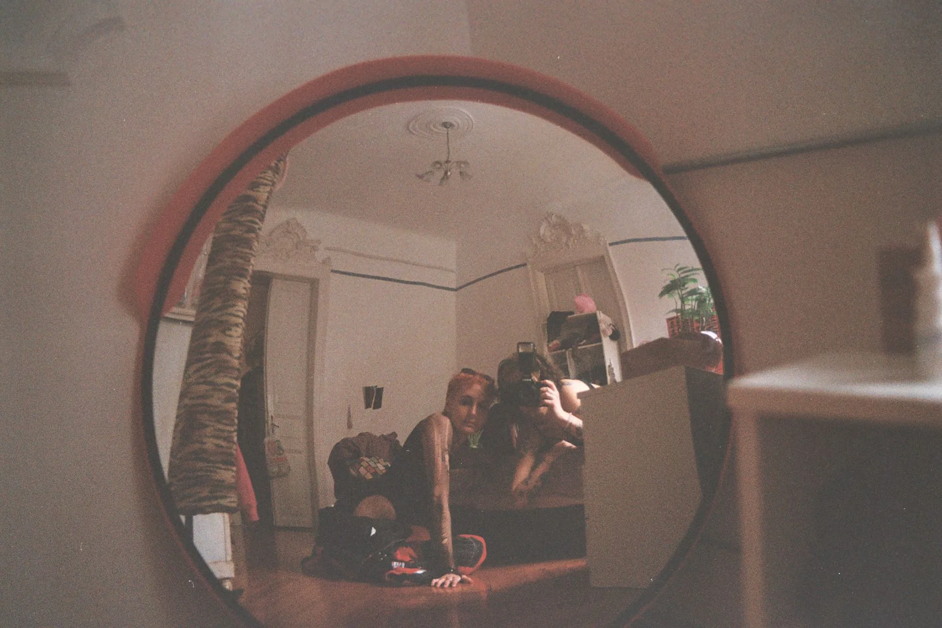 Jay — photograph by Kayra Atasoy