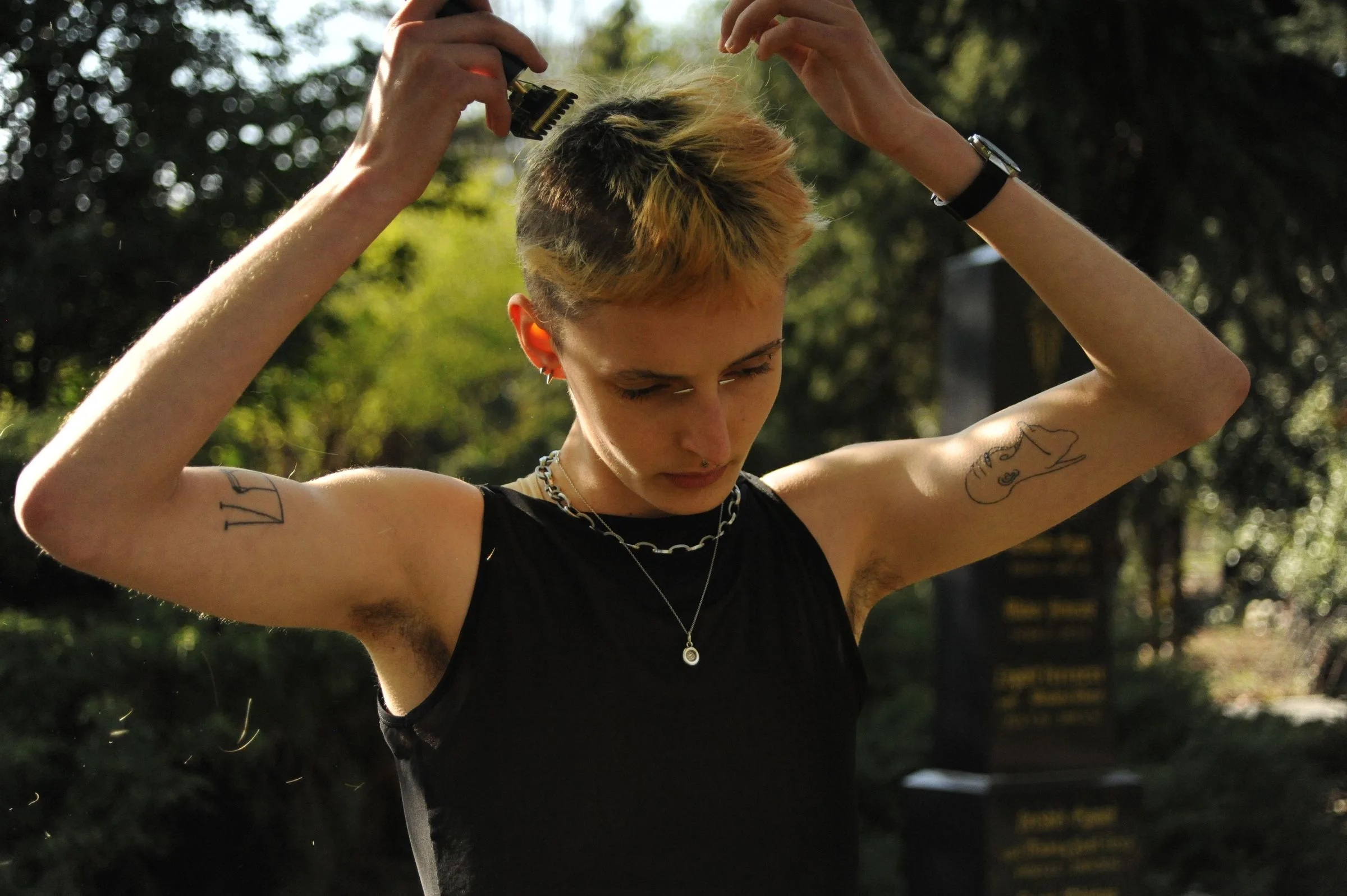 Jay — photograph by Kayra Atasoy