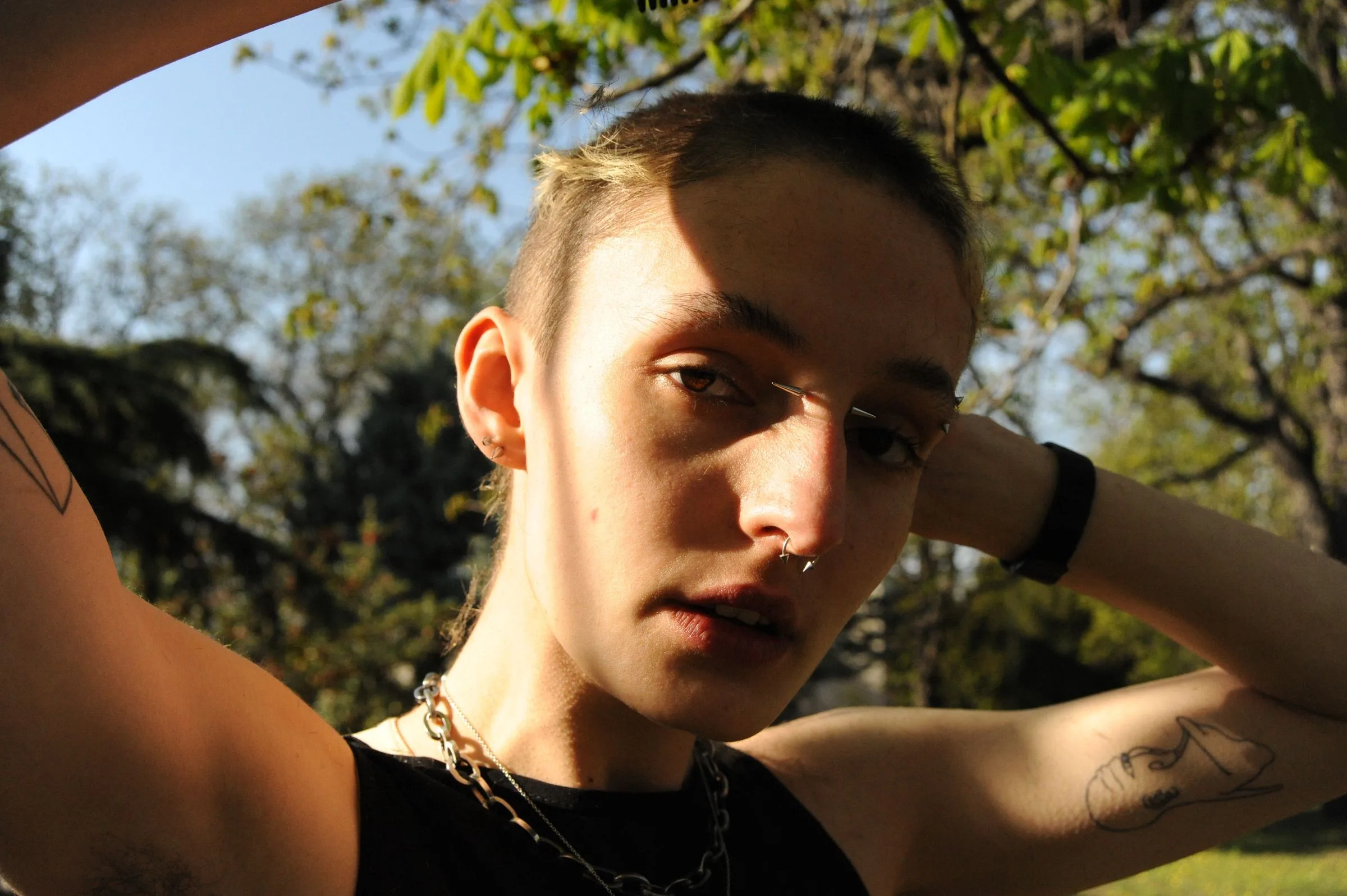 Jay — photograph by Kayra Atasoy