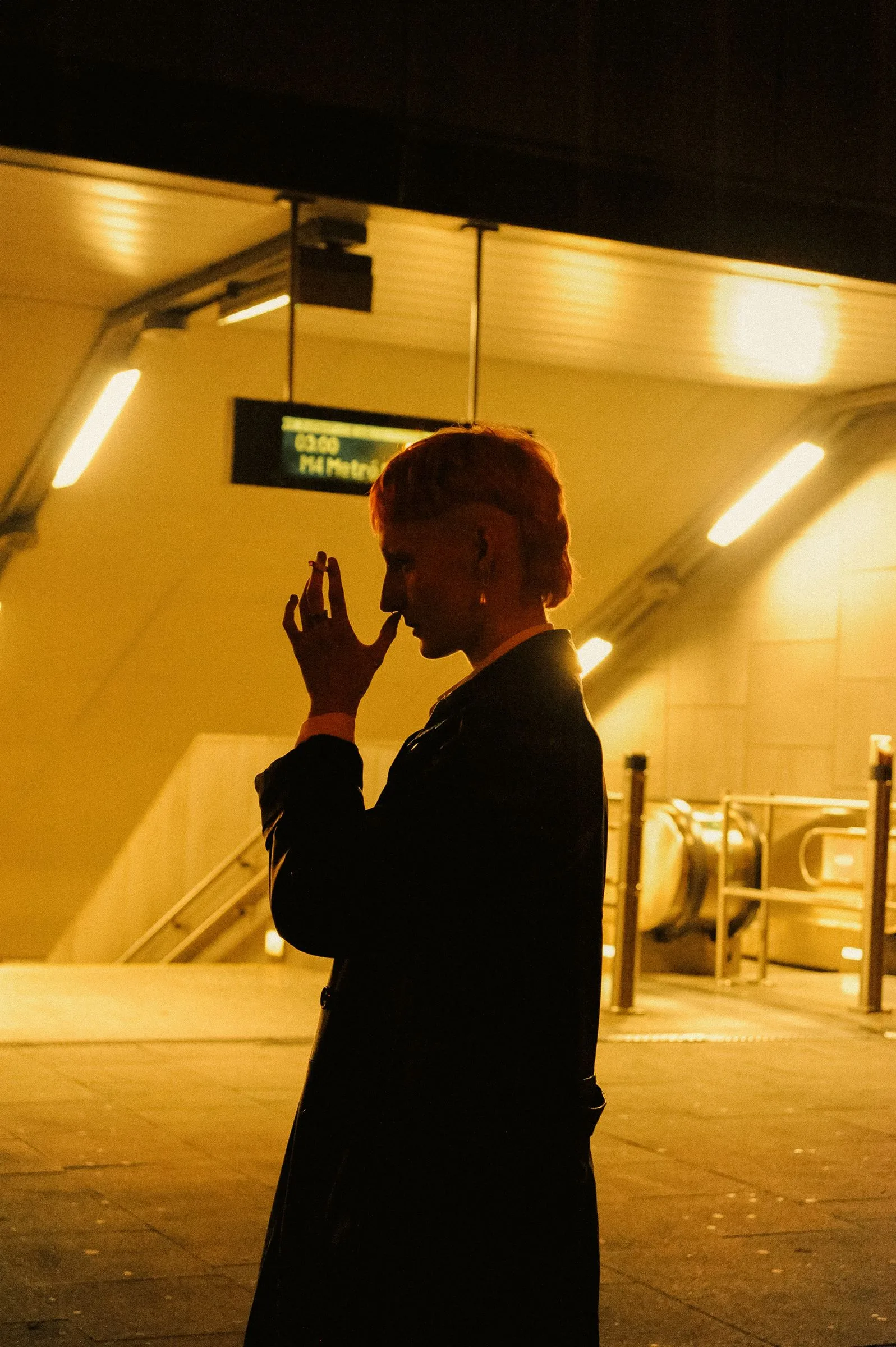 Jay — photograph by Kayra Atasoy